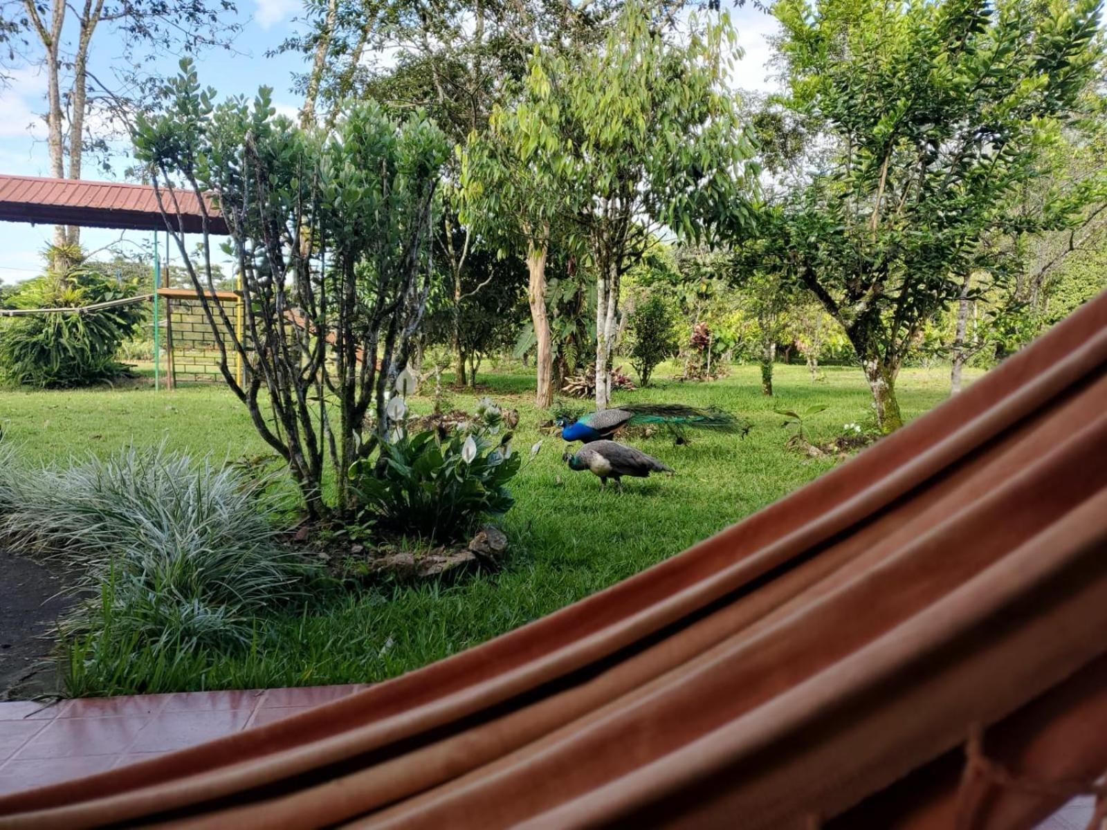 La Quinta De Andres Hotell San Isidro  Exteriör bild