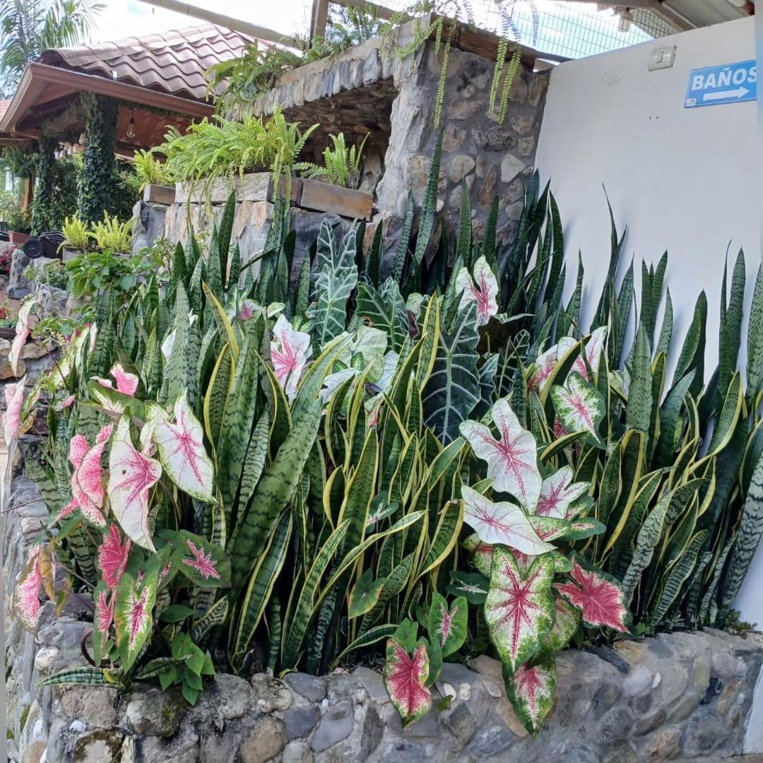 La Quinta De Andres Hotell San Isidro  Exteriör bild